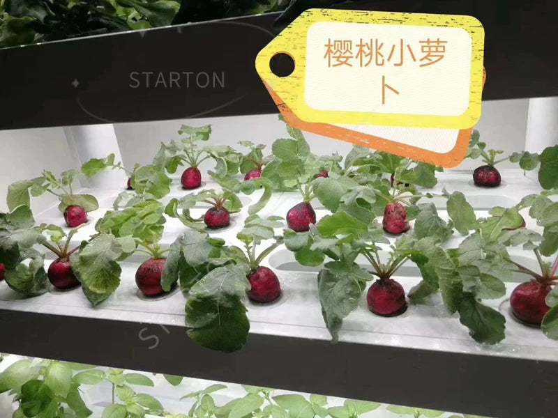 Indoor Home Smart Herb Garden Intelligente Microgreens Aquaponics Aeroponic Vertical Hydroponic Kit Hydroponics Growing System