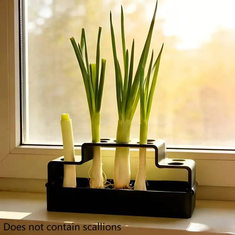 ✔Hydroponic Herb Garden Planter,3-Tier Indoor Vegetable Growing Kit for Kitchen Countertop