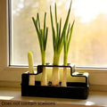 ✔Hydroponic Herb Garden Planter,3-Tier Indoor Vegetable Growing Kit for Kitchen Countertop