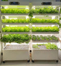 Indoor Home Smart Herb Garden Intelligente Microgreens Aquaponics Aeroponic Vertical Hydroponic Kit Hydroponics Growing System