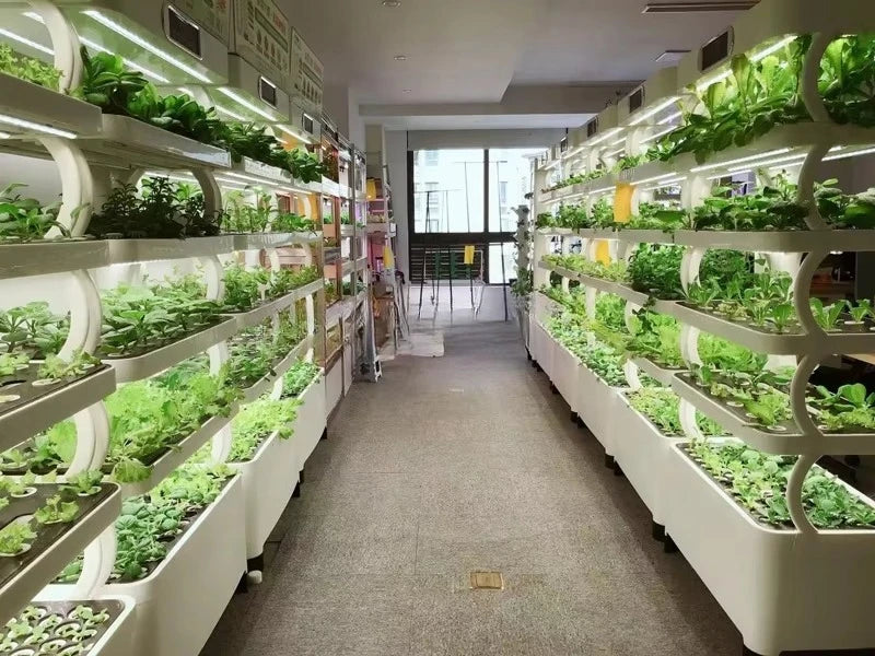 Indoor Home Smart Herb Garden Intelligente Microgreens Aquaponics Aeroponic Vertical Hydroponic Kit Hydroponics Growing System
