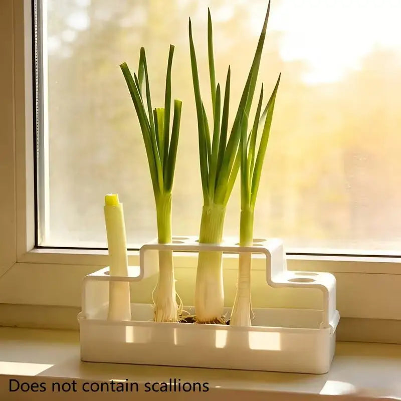 ✔Hydroponic Herb Garden Planter,3-Tier Indoor Vegetable Growing Kit for Kitchen Countertop