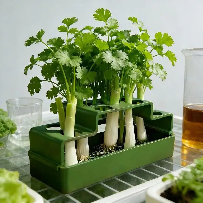 ✔Hydroponic Herb Garden Planter,3-Tier Indoor Vegetable Growing Kit for Kitchen Countertop