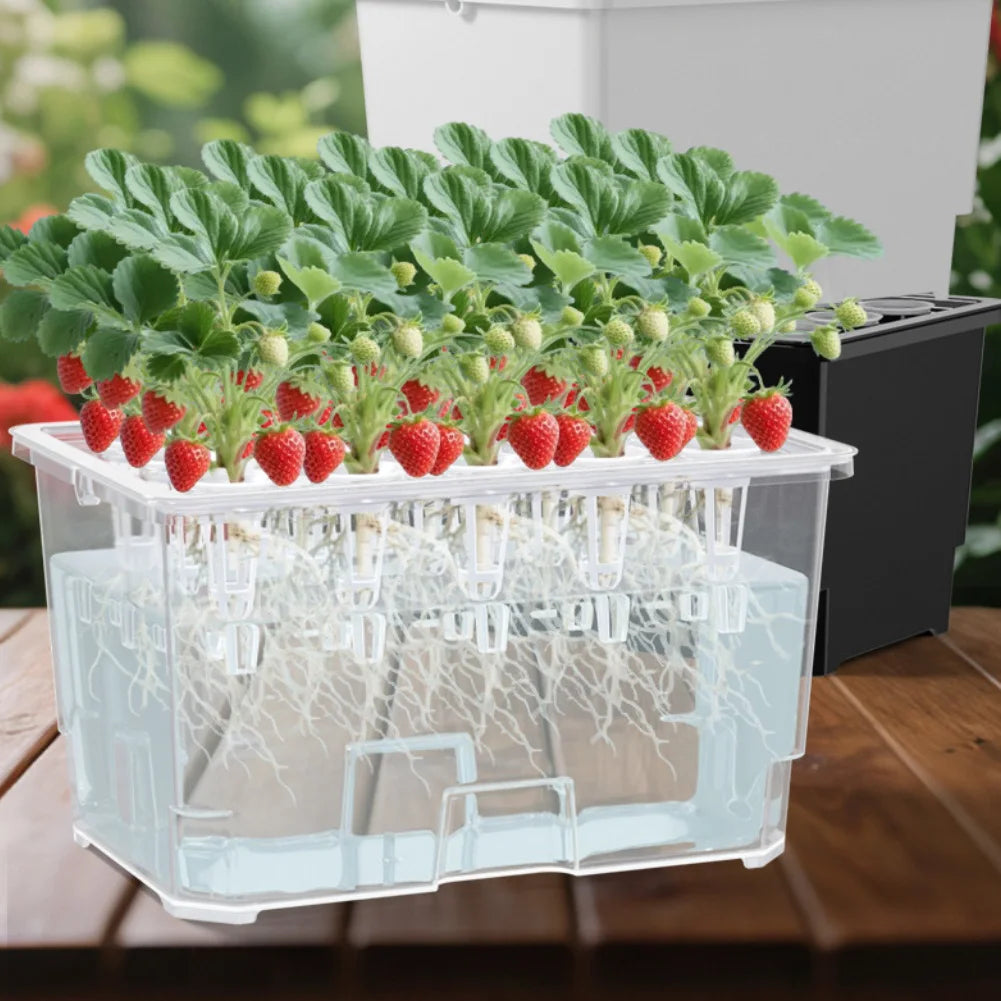 For Indoor Gardening 15-hole System Indoor Herb Garden Space-saving Design Countertop Friendly Plastic Construction