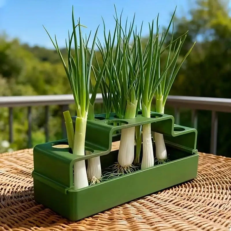 ✔Hydroponic Herb Garden Planter,3-Tier Indoor Vegetable Growing Kit for Kitchen Countertop