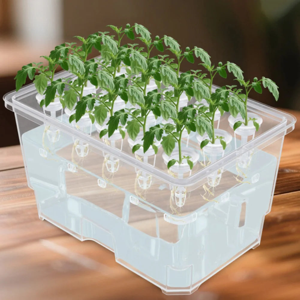 For Indoor Gardening 15-hole System Indoor Herb Garden Space-saving Design Countertop Friendly Plastic Construction