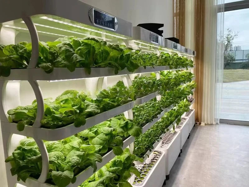 Indoor Home Smart Herb Garden Intelligente Microgreens Aquaponics Aeroponic Vertical Hydroponic Kit Hydroponics Growing System