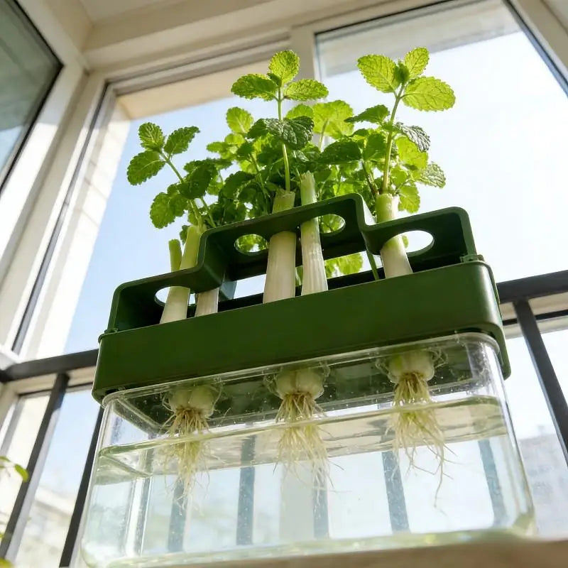 ✔Hydroponic Herb Garden Planter,3-Tier Indoor Vegetable Growing Kit for Kitchen Countertop